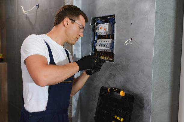 Best Electrical System Inspection  in Palatka, FL